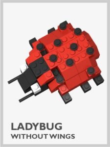 Ladybug without Wings