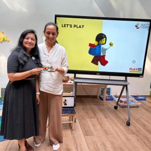 Six Bricks and Play For Professionals @ SIS Prep Ahmedabad